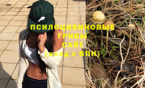 первитин Алексеевка