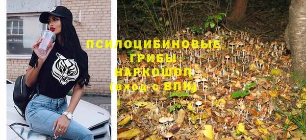 соль ск Алексин