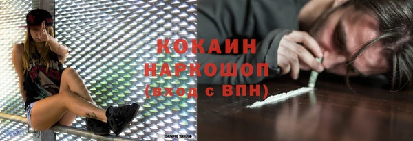 соль ск Алексин