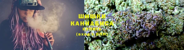 сатива Алзамай