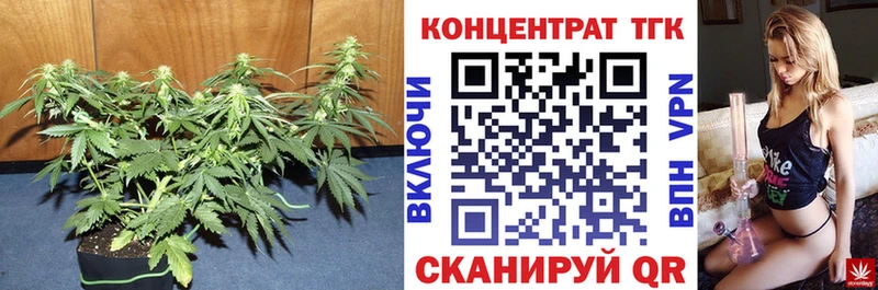 даркнет сайт  Кирсанов  Дистиллят ТГК гашишное масло 