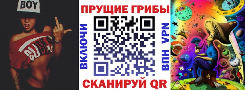 Галлюциногенные грибы ЛСД  дарнет шоп  Кирсанов 